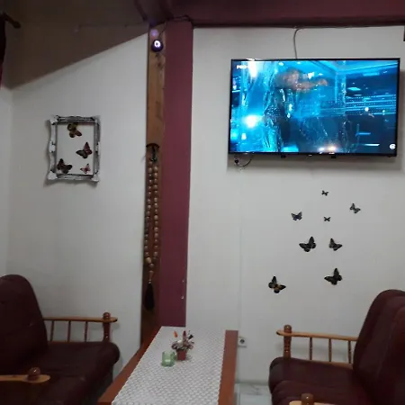 Guest house Riki
